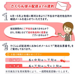 令和6年産 さくらんぼ「 紅秀峰 」600g(300g×2パック) 秀品 2L以上 2024年産 山形県産 山形産 　026-A-AF003