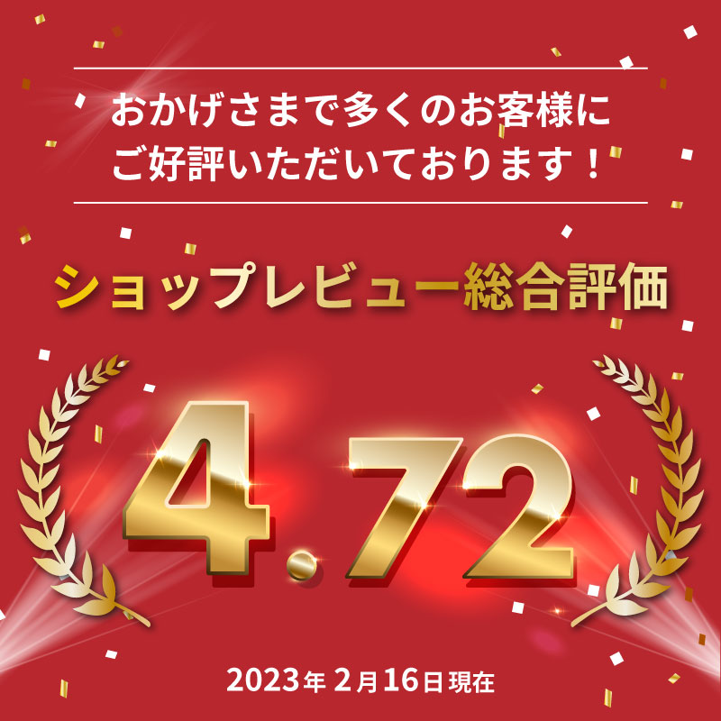 [アウトレット品] ホログラムミニドットRHM 305mm×25mロール カッティング用アイロンシート RHM-WF ステカSV-12 シルエットカメオ スキャンカット対応