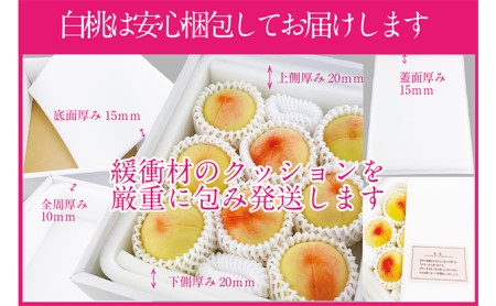 桃 2024年 先行予約 岡山の白桃 200g以上×8玉 白桃 旬 みずみずしい 晴れの国 おかやま 岡山県産 フルーツ王国 果物王国