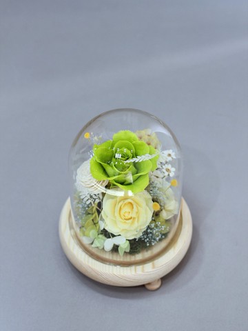 Fl188-02 夢幻永生花系列—綠黃