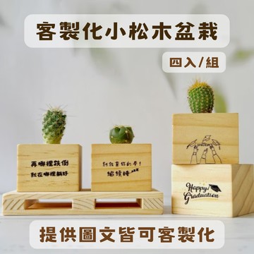 好想對你說【Green Pandora】客製化小松木多肉盆栽 (方形) - 4入組 客製化 療癒 紓壓 辦公桌 居家擺飾 多肉植物 盆栽 植物 舒心 職場禮