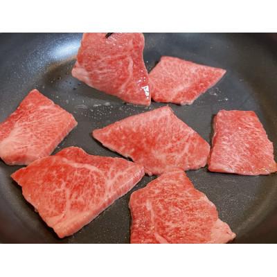 ふるさと納税 佐賀市 佐賀牛焼き肉セット500g×1パック