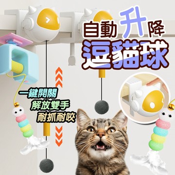 逗貓球 電動升降逗貓球 貓咪玩具 貓自嗨玩具 懸掛逗貓球 解悶球 自動逗貓棒 逗貓神器 升降球 電動逗貓玩具 羽毛逗貓棒
