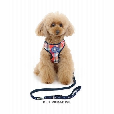 【オンワード】 PET PARADISE>ペットグッズ 犬 ハーネス リード J.PRESS ハーネス＆リード 【３Ｓ】 マドラス マルチカラー ３Ｓ  【送料無料】