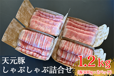 天元豚しゃぶしゃぶ詰合せ 計1.2kg ロース バラ 各300g×2パック 豚肉 しゃぶしゃぶ [009-006]