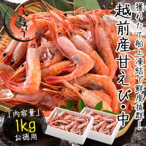 越前産 甘えび 甘エビ 子持ち中サイズ 1kg（500g×2箱）約80尾入り 刺身用 贈り物 ギフト グルメ プレゼント 産地直送 お刺身  冬グルメ