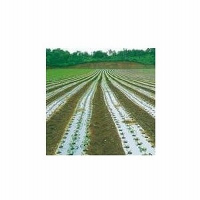 農業用マルチシート　防虫シルバー  長さ200m×厚さ0.023mm×幅135cm　２本セット