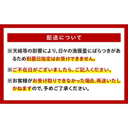 ふるさと納税 朝どれ 鮮魚 詰め合わせ 3種（2〜3人前) 下処理 あり   アジ アラカブ タイ カワハギ など  魚 新鮮 セット 冷蔵 産地直送 下処.. 長崎県南島原市