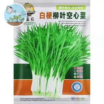 【原廠包裝】台灣四季白梗空心菜種子（White Stem Water Spinach） 陽台盆栽快收蔬菜 約30天採收
