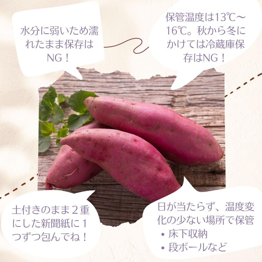 新芋 生芋 訳あり 紅はるか M〜LLサイズ 5kg 茨城 さつまいも 箱 さつま芋 甘い おいも お芋 芋 いも 茨城県産 ひたちなか 国産 5キロ