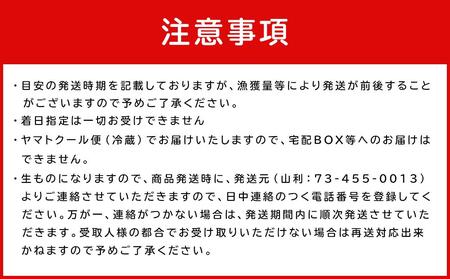 七代目 山利 釜あげしらす 900g 紙箱入り 春しらす