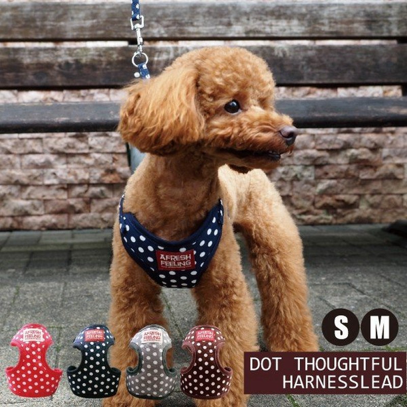 ハーネスリード ハーネスリードセット 犬 犬用 小型犬 ペット用 リード付き ドット柄ソートフルハーネスリード アフレッシュフィーリング 通販 LINEポイント最大0.5%GET | LINEショッピング ハーネスリード ハーネスリードセット 犬 犬用 小型犬 ペット用 リード付き ドット柄ソートフルハーネスリード アフレッシュフィーリング 通販 LINEポイント最大0.5%GET | LINEショッピング