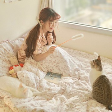 棉床本舖｜春分 ❱ 100%純棉-床包 - Q1加大床包組/含枕套