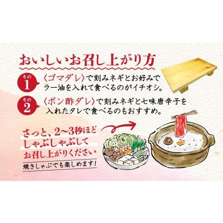 ふるさと納税 牛タン しゃぶしゃぶ 牛タン 4人前 牛タン 200g 牛タン 2パック 牛タン 400g 牛タン ゲタ付き 牛タン スライス 牛肉 牛タン 冷凍 .. 静岡県沼津市