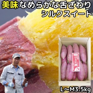 さつまいも シルクスイート 3.5kg  l～m サイズ 熟成 完熟 甘い さつま芋 贈答用 大分 芦刈農産 ホクホク 濃厚 サツマイモ ギフト 箱入