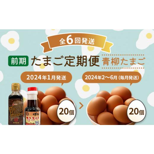 ふるさと納税 福岡県 古賀市 たまご前期定期便 6回発送（初回のみ醤油付き・たまご20個）20個×6回 合計120個 定期便 6ヶ月 卵 おうはん卵 青柳たまご 送料無…