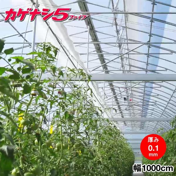 高機能農業用塗布型POフィルム　カゲナシ5　厚さ0.1mm×幅1000cm　ご希望の長さ(m)を数量で入力してください