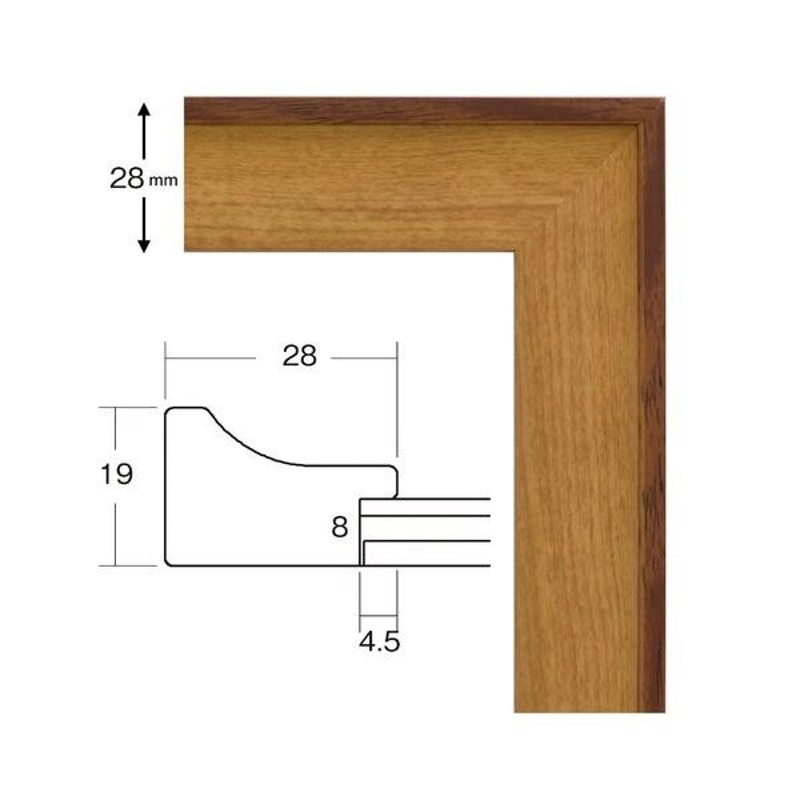 軽量水彩額縁/フレーム 〔F10号/オーク〕 壁掛けひも/UV(紫外線)カット