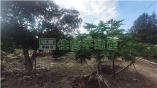 林內國道旁農地｜雲林縣林內鄉瑞農