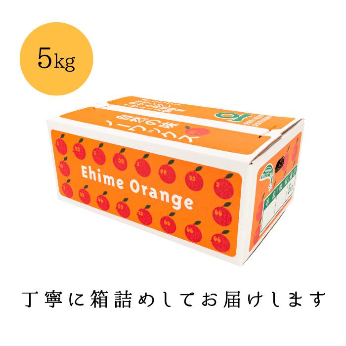 「訳あり愛媛まどんな5」愛媛まどんな 訳あり5キロ