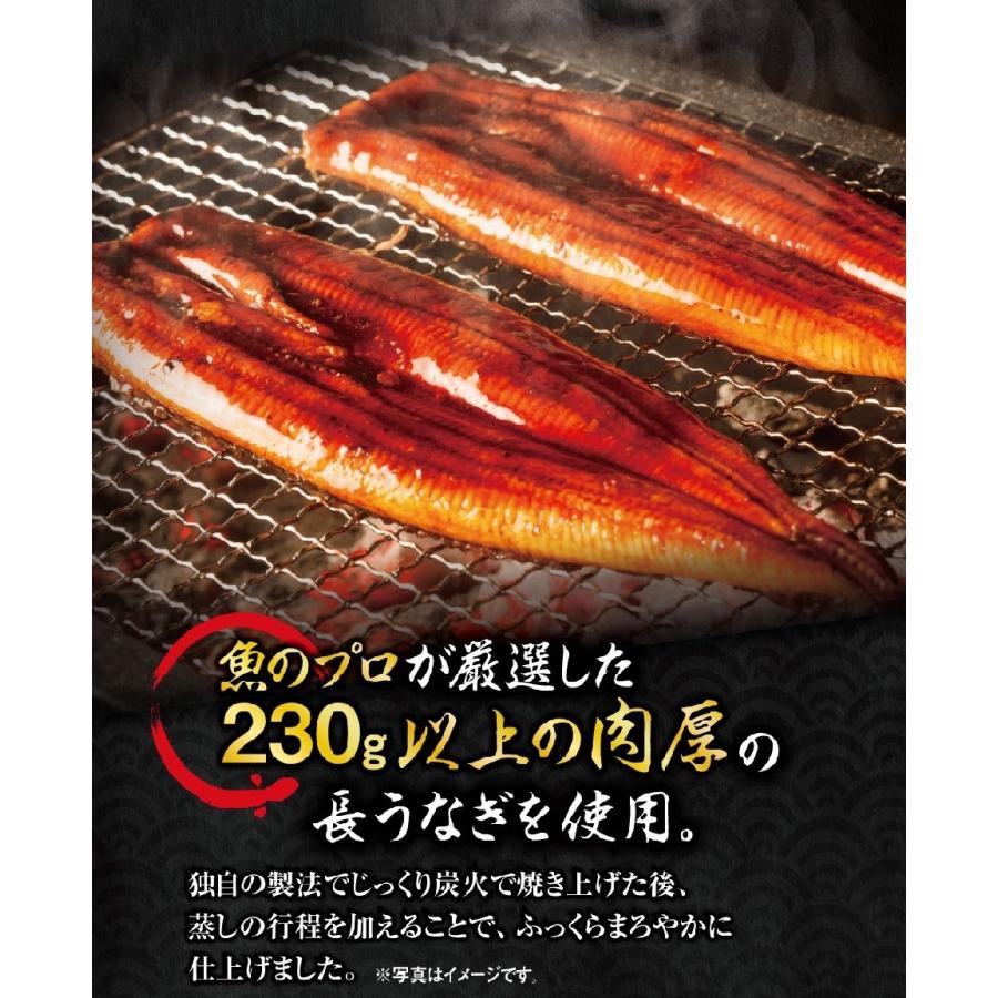 2023 お歳暮 冬ギフト くら寿司 うなぎ長焼 2尾 ギフト専用BOX 230g以上 尾 無添加だれ・山椒付き 送料無料 プレゼント