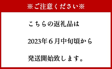  パッションフルーツ 家庭用3kg 果物 フルーツ トロピカルフルーツ