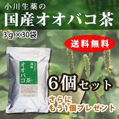 【送料無料】小川生薬 国産オオバコ茶 3g×30袋 6個セットさらにもう1個プレゼント