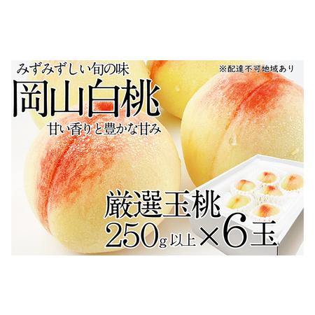 ふるさと納税 桃 2024年 先行予約 岡山の白桃 250g以上×6玉 白桃 旬 みずみずしい 晴れの国 おかやま 岡山県産 フルーツ王国 果物王国 岡山県倉敷市