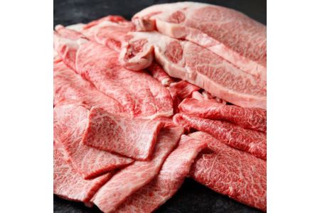 那須和牛 熟成肉バラエティセット（A5ランク）牛肉 国産 冷蔵 冷凍 セット 那須町〔J-6〕