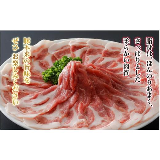 ふるさと納税 島根県 邑南町 石見ポーク 肩ロースブロック 2kg（ブロック1kg×2本）