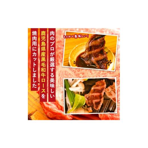 ふるさと納税 鹿児島県 曽於市 鹿児島県産黒毛和牛ロース500g(焼肉用カット) 国産 鹿児島県産 黒毛和牛A-288