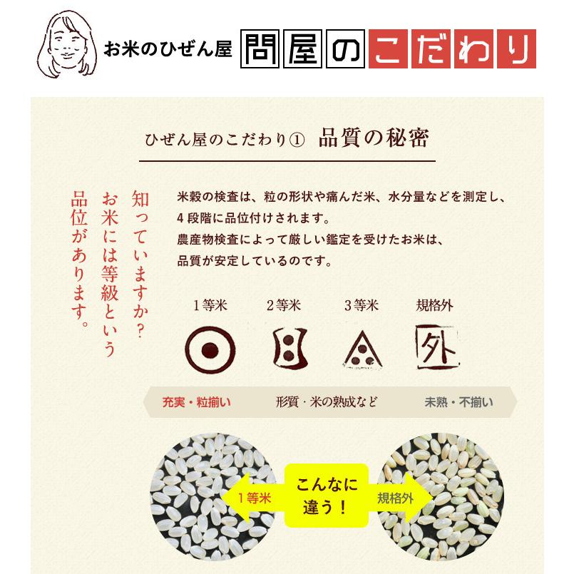 新米　米 お米 10kg 送料無料★夢しずく 無洗米★ 佐賀県産　5年度 5kg×2袋