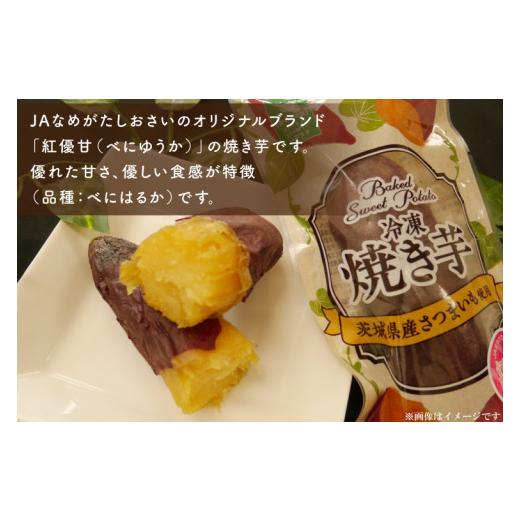 ふるさと納税 茨城県 行方市 AE-66『天皇杯受賞』　JA産　「冷凍焼き芋」（紅優甘・行方の紫福1本入　各5袋）