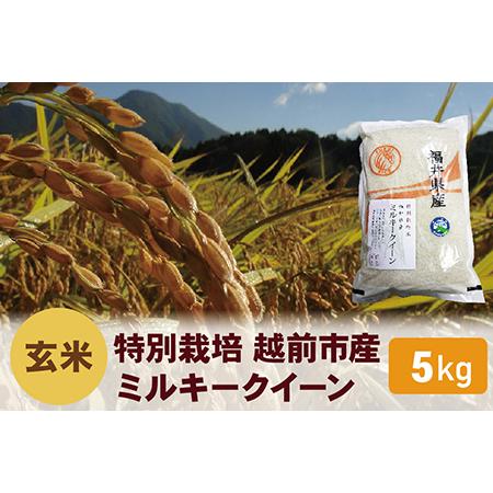 ふるさと納税 特別栽培 越前市産ミルキークイーン 5kg 福井県越前市