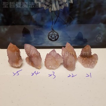 【土桑展精選寶物】仙人掌水晶191204~21-25號(Cactus Quartz) ~南非