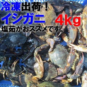 送料無料！石蟹４ｋｇ 宮城県松島産　食用 冷凍のみ　石蟹４ｋｇ訳あり品　石かにイシガニ 沖縄配送不可「冷凍　食用イシガニ　４ｋｇ」