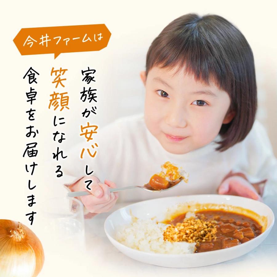 フライドオニオン 淡路島 150g 今井ファ−ム たまねぎ タマネギ 玉葱 玉ねぎ ＃フライドオニオン150g＃