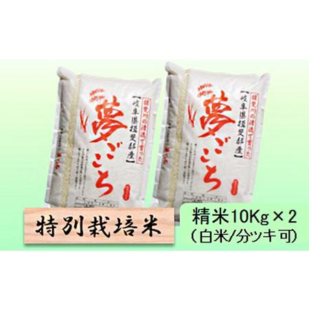 ふるさと納税 特別栽培米★精米20kg（白米 5分 7分ツキ可） 玄米は別に出品 5分ヅキ 岐阜県池田町