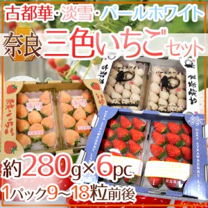 奈良県産 ”いちご三色 3箱セット” 2pc（1pcあたり9～18粒前後 約280g）×3箱 古都華・淡雪・パールホワイト 送料無料