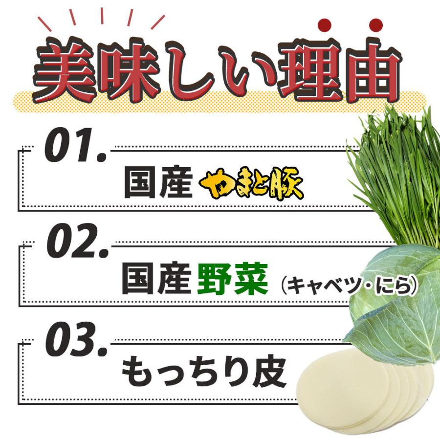 やまと豚 餃子 春巻 焼売 お試しセット NS-U [冷凍] 送料無料 お歳暮 御歳暮 2023 食品 内祝い ギフト 食べ物 取り寄せ グルメ 詰め合わせ おつまみ 惣菜