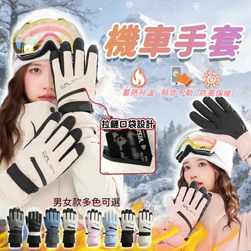 【滑雪手套 🔥台灣出貨】保暖手套 冬季手套 可觸控手套 男女款 防潑水 抗寒 保暖手套 滑雪手套 馬卡龍配色加厚