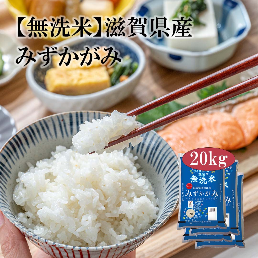 無洗米 米 滋賀県産 近江米 みずかがみ 20kg 5kg 4セット 令和5年産 新米 お米 こめ 20キロ 安い おこめ 白米 国産 食品 ギフト 引っ越し 内祝い お中元 お歳暮 送料無料 おくさ