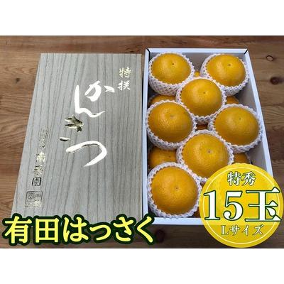 ふるさと納税 化粧箱 手詰め 有田 はっさく 特秀 L サイズ × 15玉入 2段詰 南泰園 和歌山県有田川町