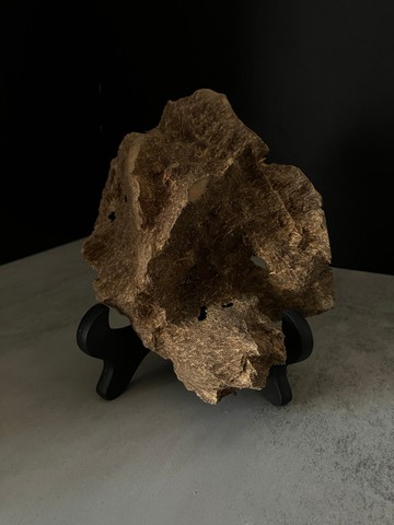 【日常進階款】野生加里曼丹沉香擺件ABK52(42g)