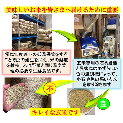 令和5年産新米　減農薬　新潟コシヒカリ玄米10kg 10kg 新潟県三条市旧しただ村産　新潟県認証　特別栽培米100%　偽装も混米も無し　白雪美人　グルテンフリー