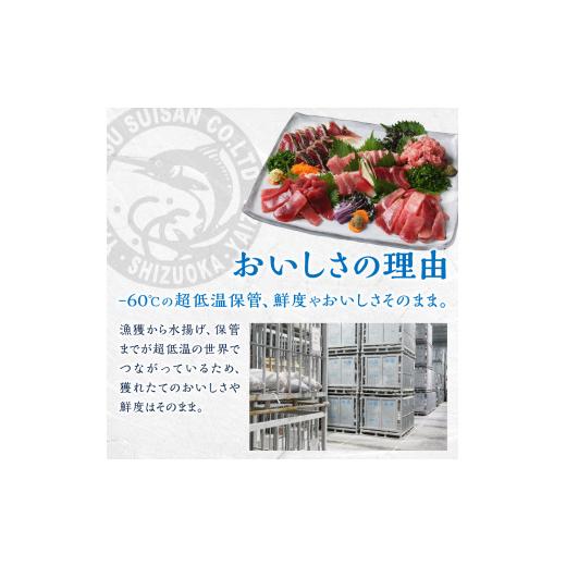 ふるさと納税 静岡県 焼津市 a15-486　天然南鮪　担当者お気に入りの南鮪四点盛り　中トロ赤身ネギトロ