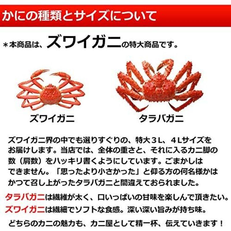 マルヤ水産 特大 ずわいがに 脚 3kg ズワイガニ 国内工場生産 ギフト お歳暮 カニ 蟹