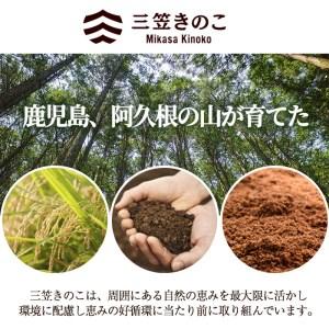 ふるさと納税 数量限定！原木生しいたけ(6袋・計1.2kg)国産 椎茸 シイタケ きのこ 個包装 2-288 鹿児島県阿久根市