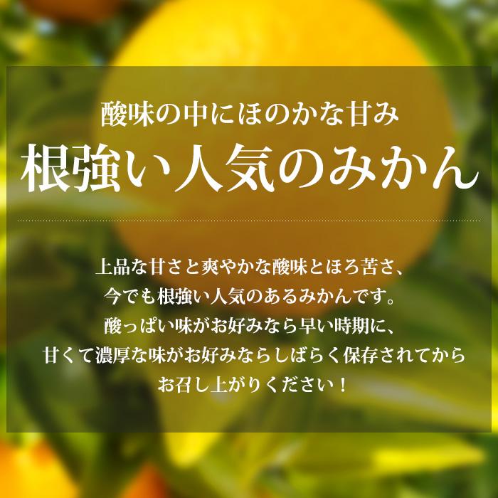 みかん 熊本県産 甘夏 約2.5kg 6〜8個