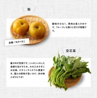 産直おすず村 季節の野菜と果物 厳選 詰め合わせセット（小） 全4回